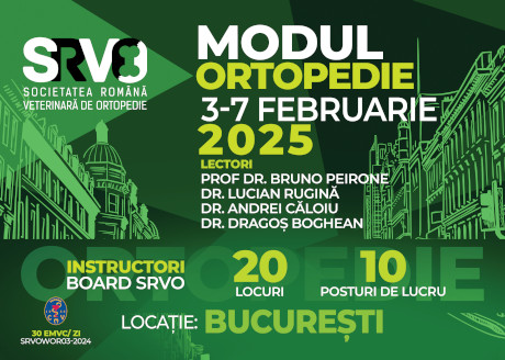 Modul Ortopedie Bucuresti februarie 2025